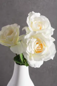 Flower Open Rose Cream S/6